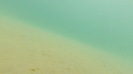 Photo underwater sandy bottom of the black sea in summer