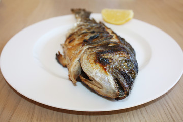 Dorada fish grilled