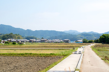 Suburban alley in Asuka,Nara / とある郊外の路地