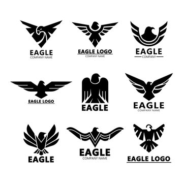 Black eagles silhouette for company branding