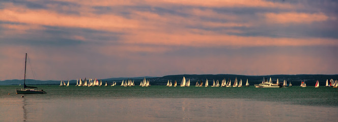 Yachts on Lake Balaton in summer, Hungary - obrazy, fototapety, plakaty