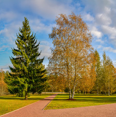 Sunny autumn evening in the country.Shadows from the setting sun.
