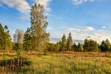 Sunny autumn evening in the country.Shadows from the setting sun.