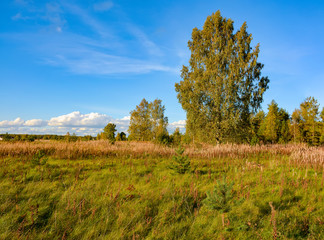 Sunny autumn evening in the country.Shadows from the setting sun.