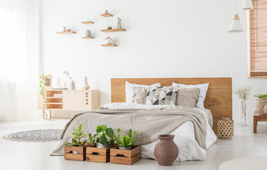 Plants in front of bed with headboard in white bedroom interior with vase and cupboard. Real photo