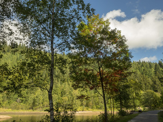 Wandern im Schwarzwald. Der Sankenbachsee und die Sankenbach-Wasserfälle im Nordschwarzwald, Lage...