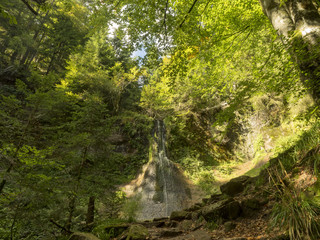 Wandern im Schwarzwald. Der Sankenbachsee und die Sankenbach-Wasserfälle im Nordschwarzwald, Lage...