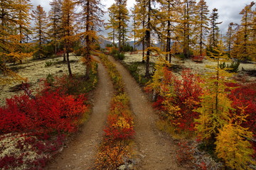 Russia. Magadan. The amazing beauty of the autumn of the Far East