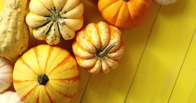 From above view of orange fresh pumpkins laid on yellow wooden background