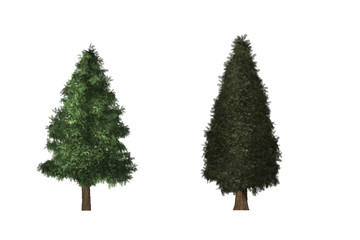 green christmas tree isolated on white