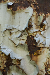 Rusty steel background texture