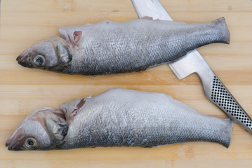Two fresh  raw European Seabass fish and a knife on wooden chopp