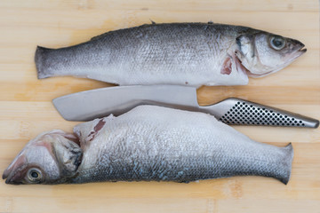 Two fresh  raw European Seabass fish and a knife on wooden chopp