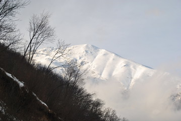 paesaggi innevati