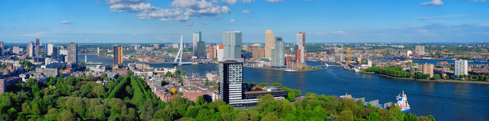 View of Rotterdam city and the Erasmus bridge - obrazy, fototapety, plakaty