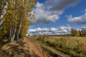Fototapeta premium Autumn landscape