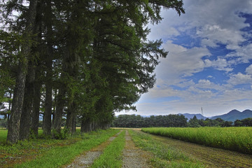 茨城農場長野支場