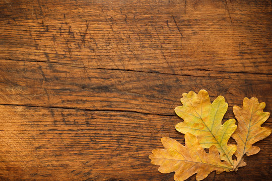 close-up image of autumn leaves on a wood background