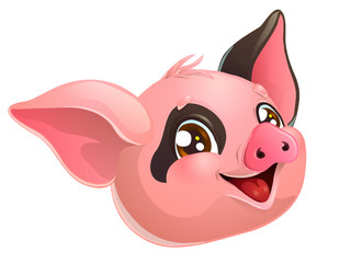 Lovely pink and black pig head on white