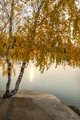 Obraz premium Autumn landscape