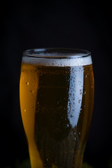 Amber beer on a dark background. Foam hop drink