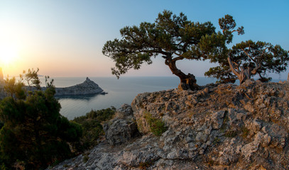 Beauty nature landscape Crimea