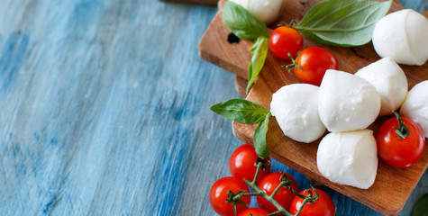 Italian cheese mozzarella with basil