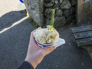 Ice Cream (in white hand)