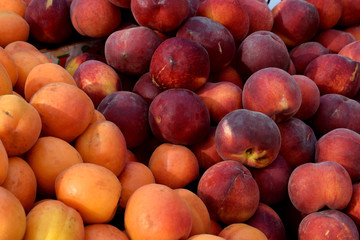 Fototapeta na wymiar Fresh ripe apricots and peaches on the market counter