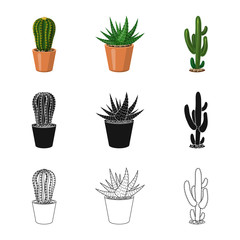 Vector illustration of cactus and pot sign. Set of cactus and cacti stock symbol for web.