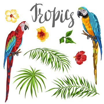 Set of tropical plants and parrots.