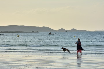 Un chien qui joue avec sa ma&icirc;tresse le soir sur une plage en Bretagne. 