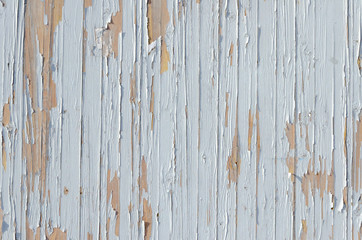 Bright paint peels off wood planks background