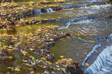 Creek and small waterfall with autumn leaves