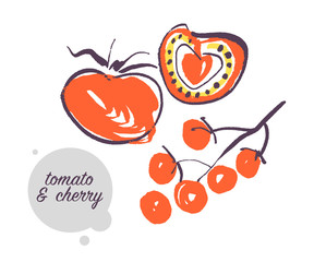 Vector hand drawn illustration of fresh raw tomato vegetable isolated on white background. Sketch style. Healthy food element. Good for menu, banner, packaging design etc.
