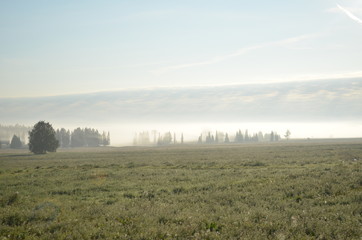 Fototapeta na wymiar landscape, fog, sky, nature, field, tree, morning, sunrise,