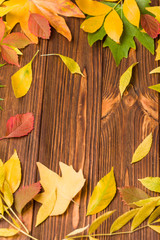 Autumn banner with colorful tree leaves on brown wooden background - natural fall frame with foliage and copy space.