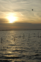 Sonnenuntergang am Ijsselmeer