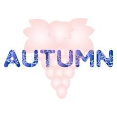 Grapes for wine and juice production.