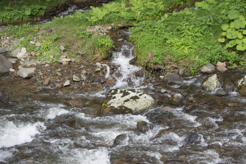 Fototapeta premium mountain river in resort sairme. Beautiful River clear water flowing through stones