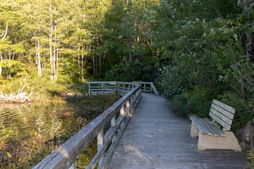 Obraz premium drewniana promenada w pobliżu jeziora o zachodzie słońca