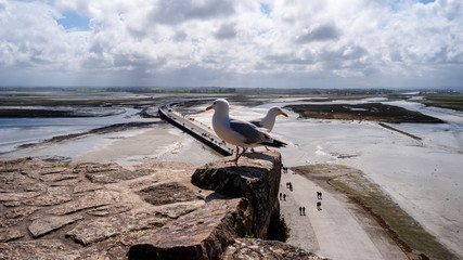 Mont Saint-Michel, Normandia, Francja © podlaski49