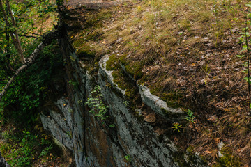 Stone with moss. Rock in the forest. Texture