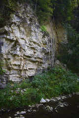 Fluss im Schwarzwald