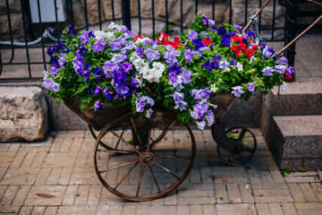 Fototapeta na wymiar Retro trolley with flowers. décor element in the open air