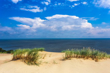 Grey dunes in the Curonian Spit, Lithuania.