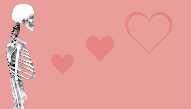 Skeleton Human Sketch And Heart Love and Background / Illustration