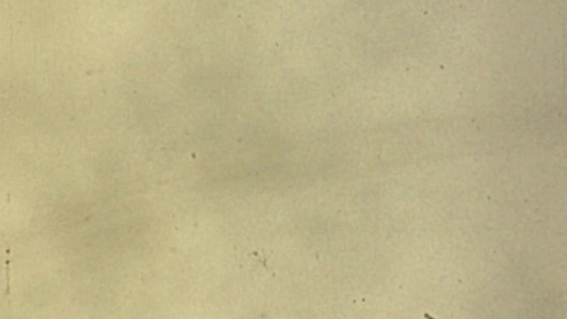 Bagliore pellicola 8mm disturbi del proiettori