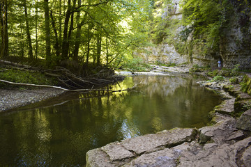 Fluss im Schwarzwald
