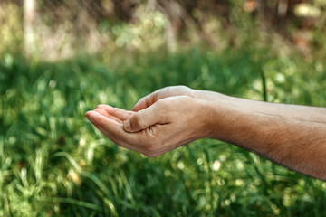Togliatti, Samara region, Russia - August 02, 2018: Women's palms against the background of summer greenery